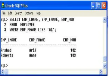 Figure 18 shows the output you should see for this query. 