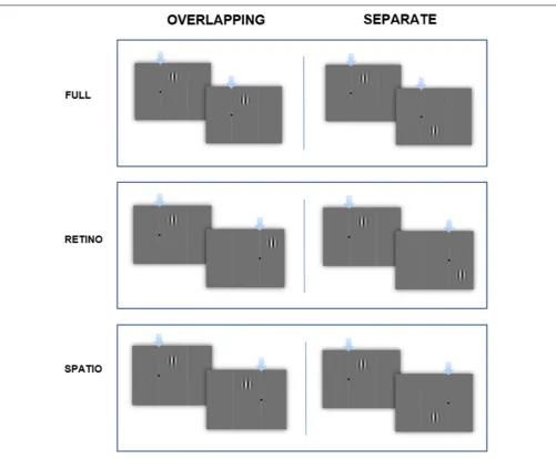 FIGURE 1 | Time-course of the experiment. Examples of: ‘Full’ overlapping and separate conditions (ﬁxation point doesn’t move, stimuli in same panel),‘Retinotopic’ overlapping and separate conditions (ﬁxation point moves, stimuli in same panel) ‘Spatiotopi