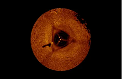 Figure 14 – 5m radius scan of the Egadi 11 ram showing cowl and fin detail. 