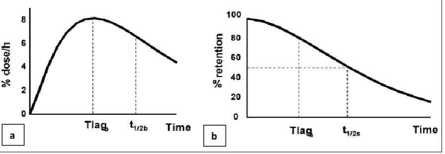 Figure 11: (a) Breath test: 13CO2 breath excretion in (% dose/h) as a function of time after ingestion of 13C-octanoic acid
