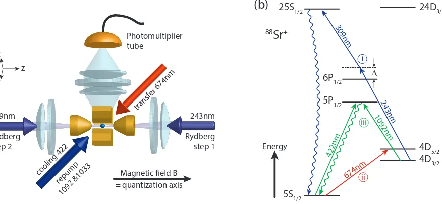 FIG. 1. Experimental setup. (a) An ion is trapped in a linear Paul trap and manipulated by laser beams for Doppler coolingand ﬂuorescence detection (422 nm), repumping (1092 nm and 1033 nm), electron shelving (674 nm), and Rydberg excitationexcitation