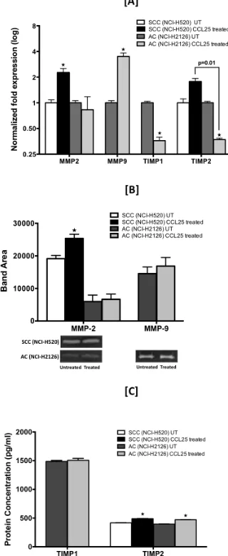 Figure 5: CCL25-induced expression of MMPs and TIMPs in LuCa cells. Cells were tested for their capacity to express mRNA and protein for MMP-2 and -9 and TIMP-1 and -2