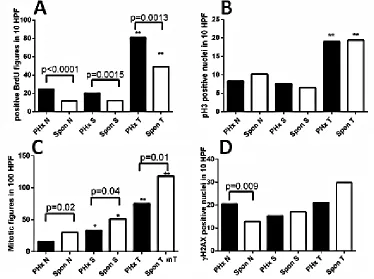 Figure 1: Accelerated HCC development in the Mdr2-KO/FVB mice following 70% PHx. Either PHx or sham surgery was performed at the age of either three (A-C) or six (D-F) months; all mice were sacrificed at the age of nine months