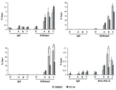 Figure 5: PARylation controls histone H3K4 trimethylation and RNA POL II recruitment on TET1 gene