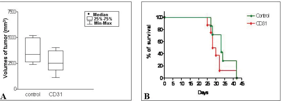 Figure 2: Endothelial micro-vessels in NB tumors from hCD31 mAb treated mice. A) hCD31+ (red) and mCD34+ (blue) EM per field in tumors from hCD31 mAb vs isotype treated mice harvested after 18 days from tumor cell inoculation