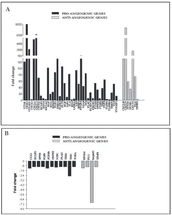 Figure 3: Human and mouse angiogenic gene expression in orthotopic NB tumors from anti-hCD31 mAb treated mice