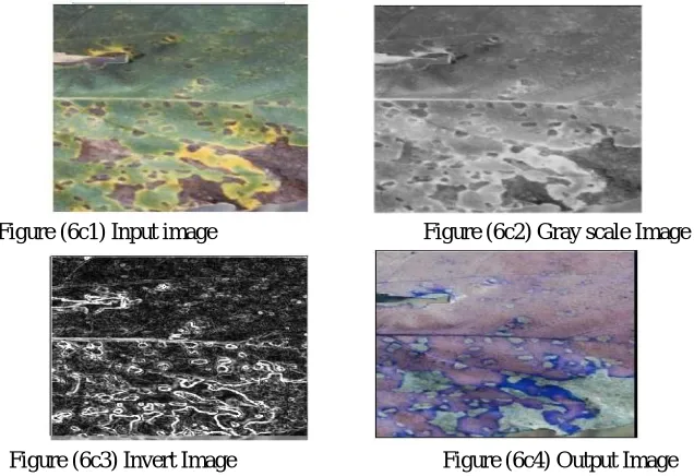 Fig (5b1) shows  Normal input Image of another type of Cotton disease, Verticillium Wilt