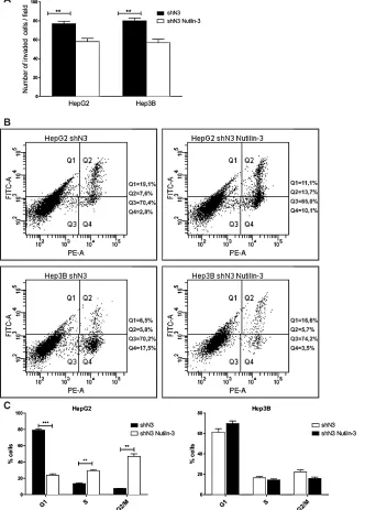 Figure 7: Effects of Notch3 knockdown on Nutilin-3 sensitivity. A) Analysis of invasion capacity of Notch3 silenced cells (shN3) treated or untreated with Nutilin-3