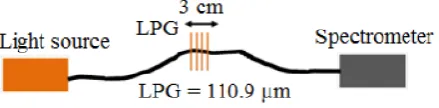 Figure 1.Figure 1. Schematic illustration of the long period grating (LPG) sensor.  Schematic illustration of the long period grating (LPG) sensor.
