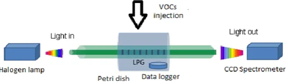 Table 1.Relation between the injected volume and the concentration of the volatile organicTable 1.compound (VOC)