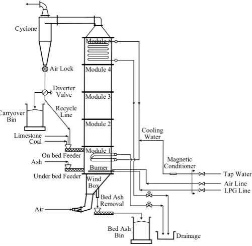 Fig. 1. Schematic of the 0.3 MW ABFBC test rig 
