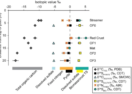 Figure 8. δ13C, δ34S, δ15N, and δ18O stable isotope compositions for sedimentary Total Organic 