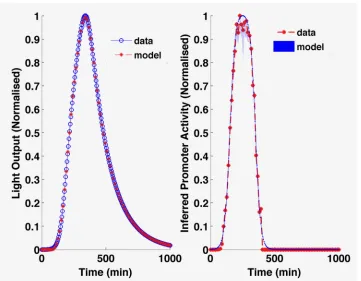 Fig 4. Reverse engineered promoter activity from light output. Here, the promoter inference is for asimulated transient pulse experiment, showing effective and accurate recovery of the known gene expressionprofile