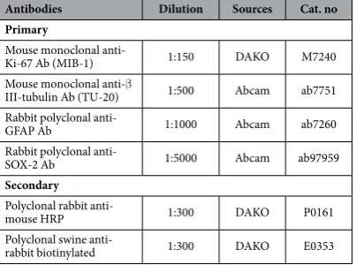 Table 3.  List of antibodies (Ab) used in the IHC experiments.