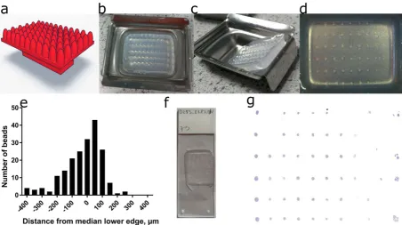 Figure 2. The Mold-maker device, the agarose molds it produces and the final spheroid arrays
