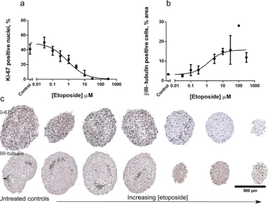 Figure 6. Effects of etoposide on the proliferation and neuronal differentiation of fetal brain neurospheres
