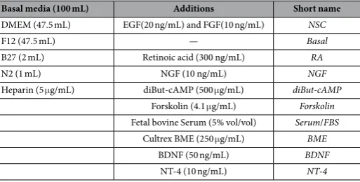 Table 1.  Table of differentiation media composition. DMEM- Dulbecco’s Modified Eagle’s medium, high-glucose (4.5 g/L), sodium pyruvate (1 mM)