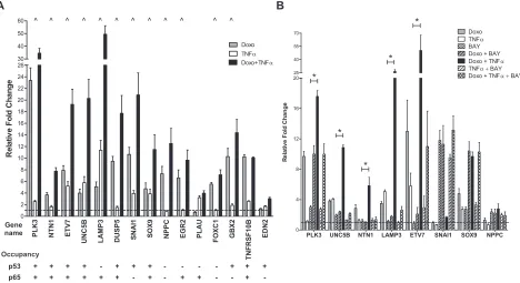 Figure 2: p53- and p65-dependent up-regulation of selected synergistic DEGs. (A) Twelve out of fifteen selected synergistic DEGs were validated by qPCR