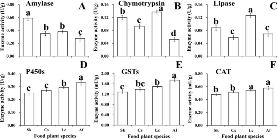 Figure 5. Linear relations between O. asiaticus mean enzyme activity and food plant chemical traits