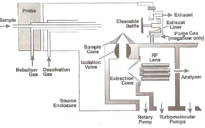 Figure 3: Electrospray ionisation interface