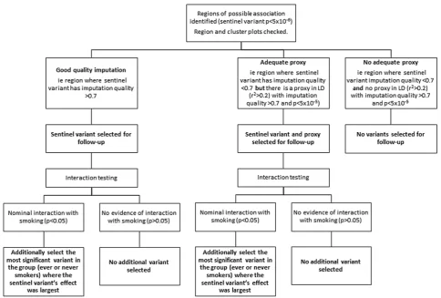 Figure 1Flow chart showing the selection of variants for follow-up analysis. LD, linkage disequilibrium.