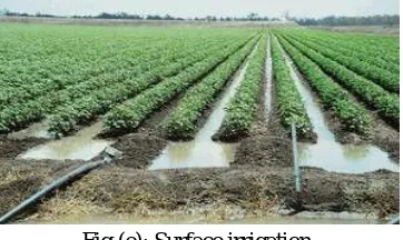 Fig (d):  Centre pivot irrigation system 
