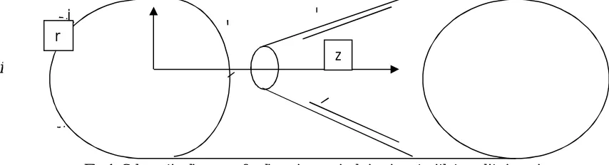 Fig 1: Schematic diagram of a diverging conical ring insert with two slits in a pipe. 