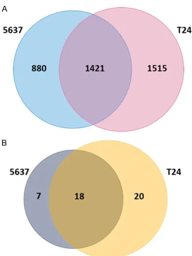 Figure 1. Venn diagrams of DEGs and differentially expressed miRNAs in cell line 5637 and T24