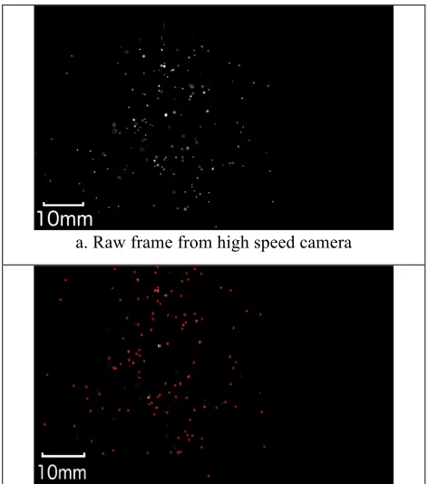 Fig. 3  Stages in implementation of particle tracking 