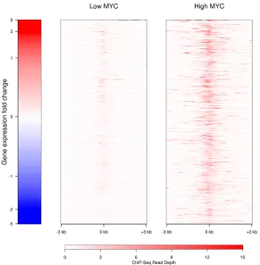Figure 2: Total and nuclear RNA content at high and low MYC levels. Total RNA was prepared using an RNA extraction robot from (a) ~2x105 P493-6 cells with high or low expression of MYC, or (b) ~4x106 purified nuclei in triplicate