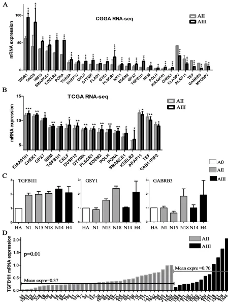 Figure 3: Candidate genes were confirmed on RNA-sequencing data and validated by qPCR
