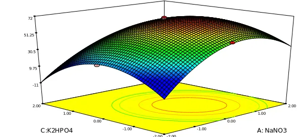Fig. 4: 3D Plot showing the effect of NaNO3  and K2HPO4  on protease activity 