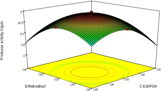 Fig. 7:  3D Plot showing the effect of Tryptone  and Malt extract on protease activity 