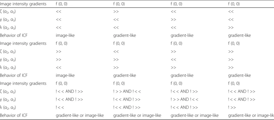 Table 1 Characterization of intensity-curvature functional