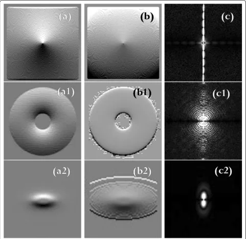 Fig. 4 (a), (a1), (a2): Traditional HPF images of Figs. 3 (a), (a1), (a2), respectively