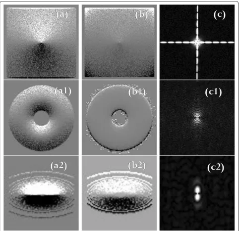 Fig. 5 (a), (a1), (a2): PSO-based HP filtered images of Figs. 4(a), (a1), (a2), respectively