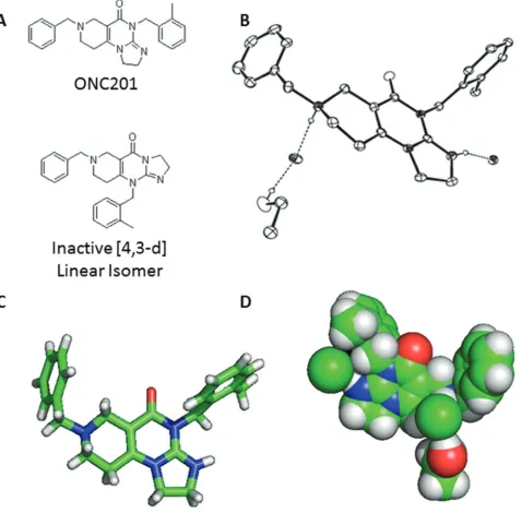 Figure 1: X-Ray crystal structure of ONC201. (A) Molecular structure of ONC201 and the [4,3-d] linear isomer