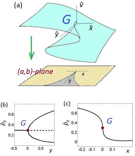 FIG. 4.(a) Universal two-parametric phase diagram consid-ered from the point of view of the mathematical catastrophetheory