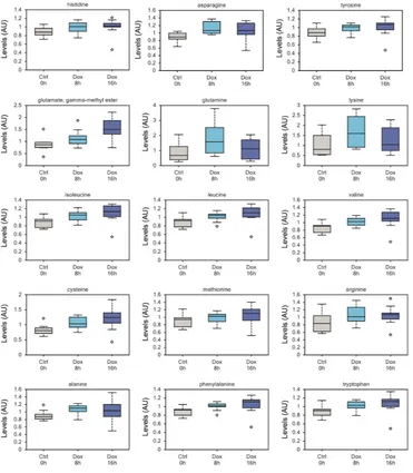 Figure 2: Increased amino acid uptake in TAp73 expressing cells. Increased intracellular contents of numerous amino acids after short-time induction of TAp73β, probably reflecting increased uptake from culture medium