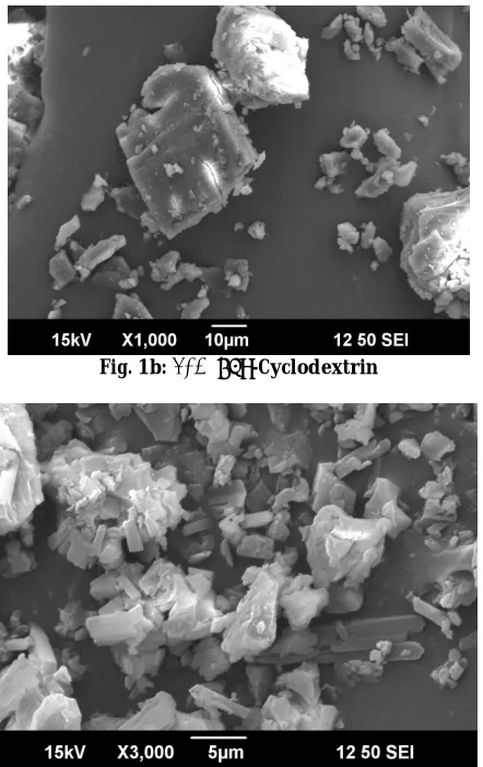 Fig. 1c: SEM of   SEM photomicrographs of Risperidone, B-CD and SDformulations Risperidone:β-Cyclodextrin Solid dispersion(1:3)  