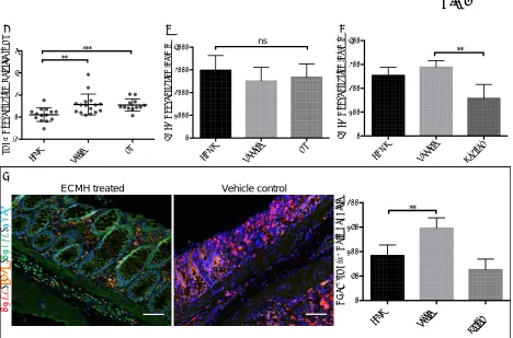 A B nsC Fig 5 