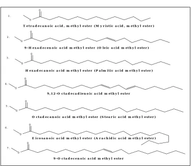 Fig. 3: Total ion chromatogram of biodiesel prepared from Jatropha oil 