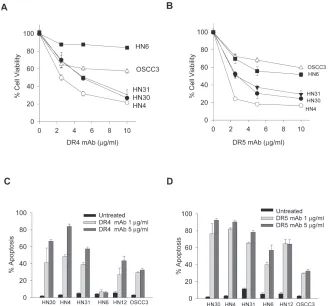 Figure 2: Apoptotic responses to agonistic DR4 and DR5 monoclonal antibodies. A & B, Cell viability of the indicated cell lines treated with increasing doses of DR4 monoclonal antibody (DR4 mAb) (A) or DR5 mAb (B) for 24 h