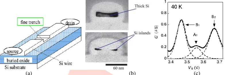 Fig 8. (a) Initial structure of the twin SETs before V-PADOX .(b) Cross-sectional TEM image of the Si wire after VPADOX