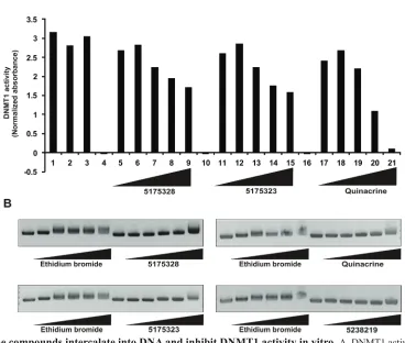 Figure 5: Acridine compounds intercalate into DNA and inhibit DNMT1 activity in vitro