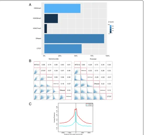 Fig. 7 Summary of INTS12 binding with HBEC epigenetic regulatory elements.conservation of INTS12 binding sites in vertebrates