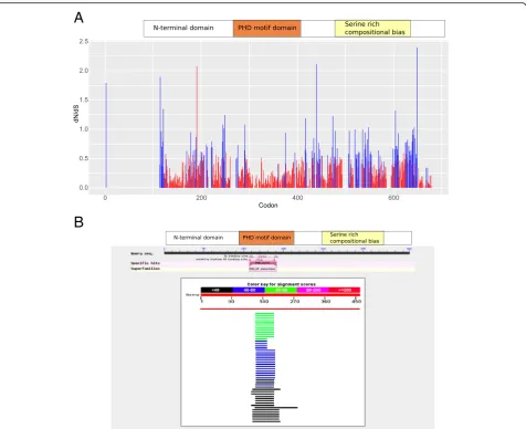 Fig. 2 Sequence analysis of INTS12INTS12 conservation using a repertoire of 66 metazoan open reading frames