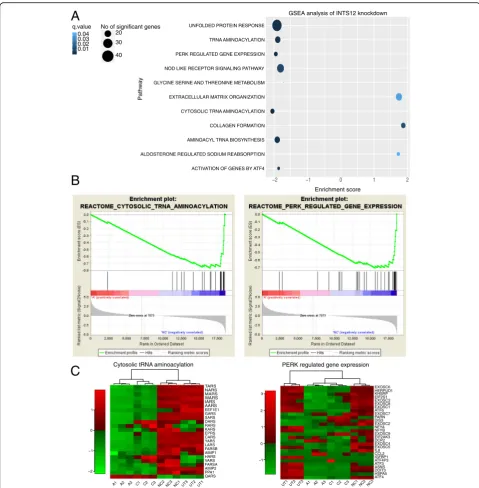 Fig. 4 Systematic analysis of dysregulated pathways in INTS12 depleted cells. a Cleveland’s plot showing the GSEA results of representativeD-siRNA A analysis
