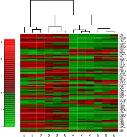 Figure S7 Gene expression heatmaps of genes belonging to reproducibly downregulated pathways
