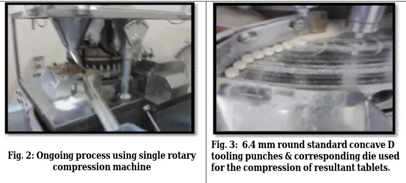 Fig. 3:  6.4 mm round standard concave D tooling punches & corresponding die used 